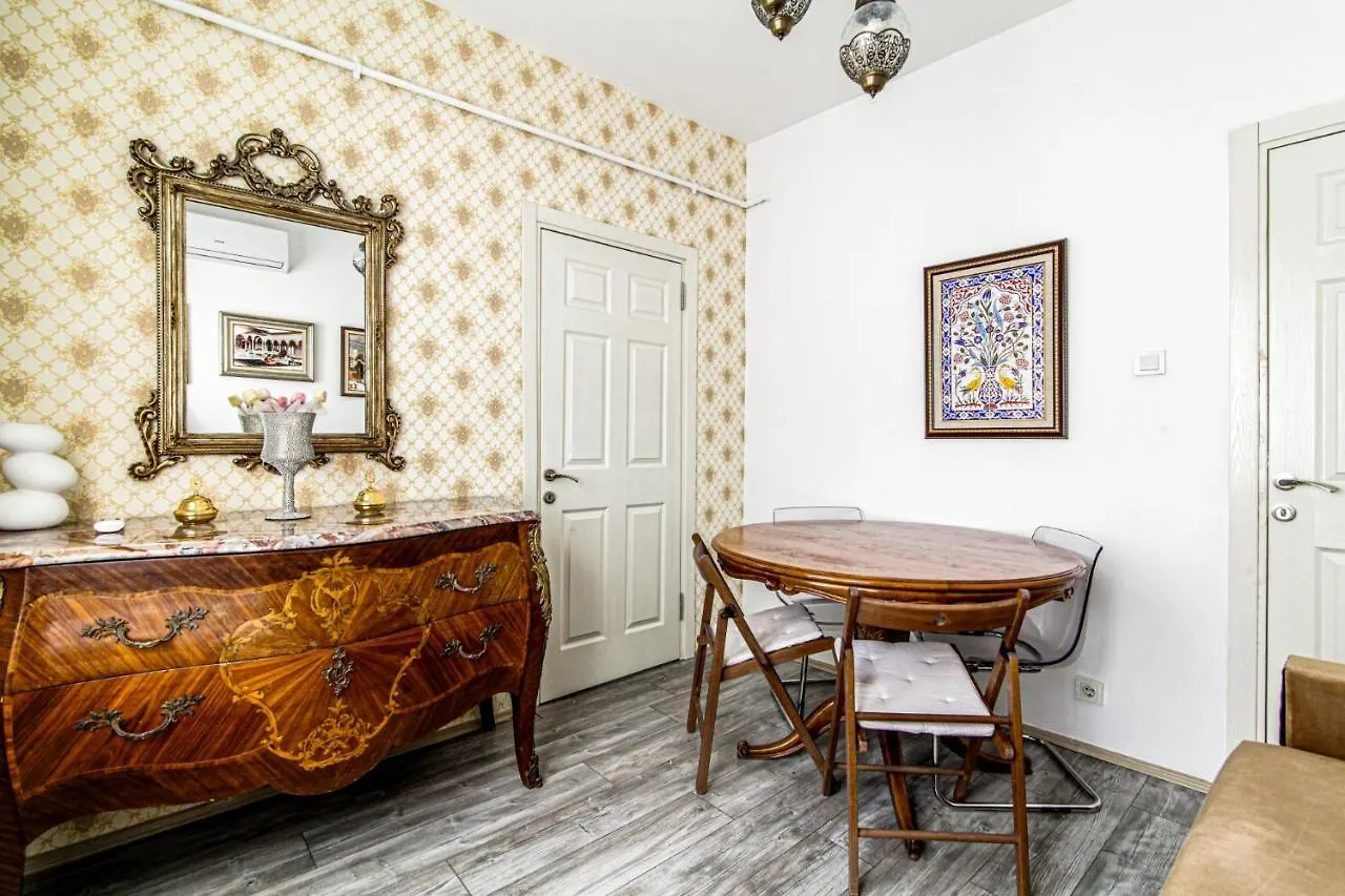 公寓 Lovely Flat In Cihangir Near Public Transportation 伊斯坦布尔
